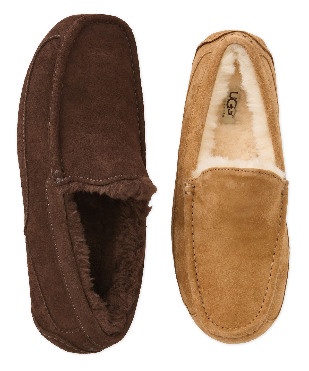 UGG Australia Ascot Slipper, Men's Big & Tall