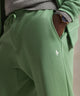 Polo Ralph Lauren double-knit jogger pants, green close-up of logo and drawstring waist - Outback Green