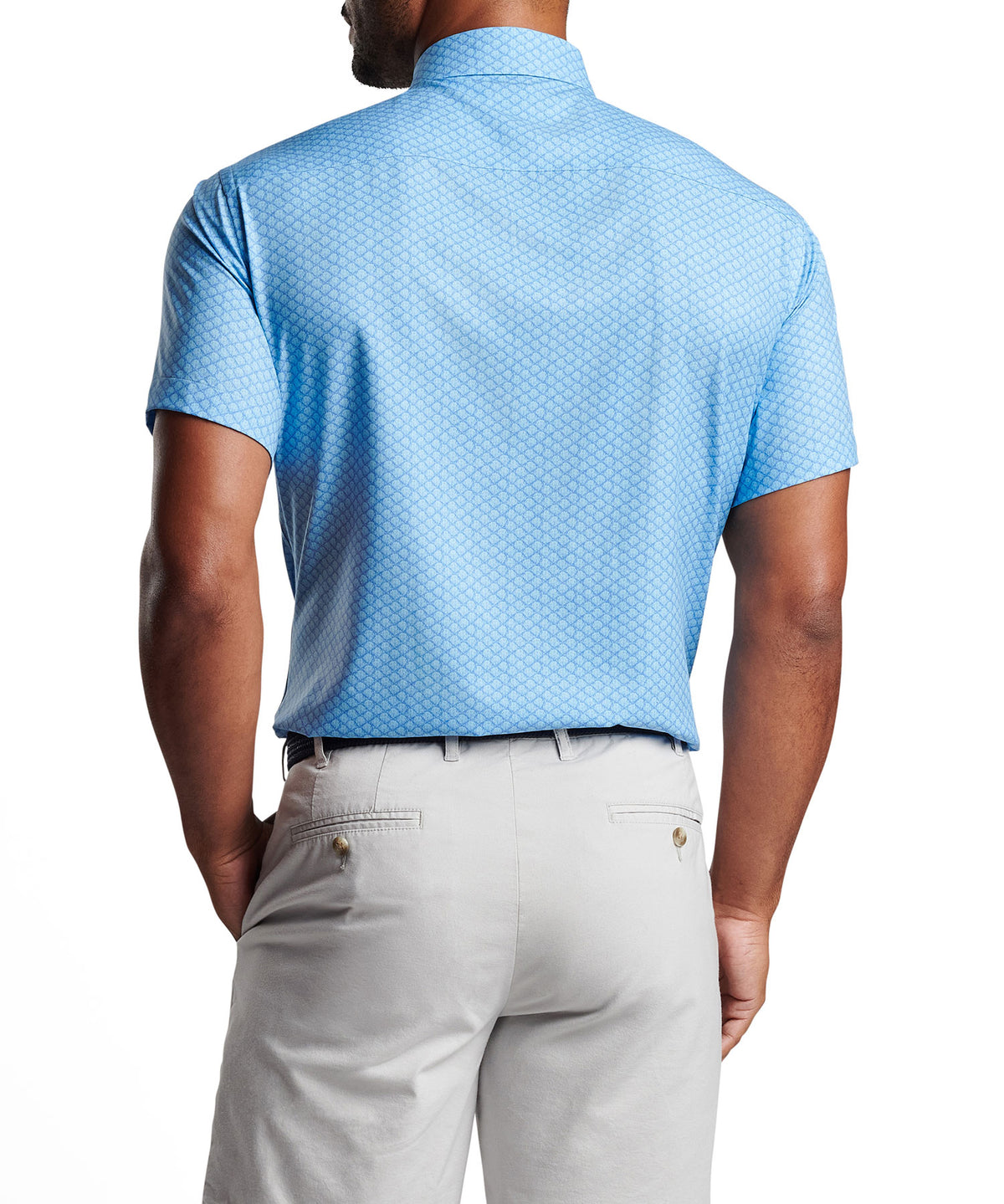 Peter Millar Clam Print Short Sleeve Spread Collar Sport Shirt, Men's Big & Tall
