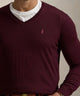 Polo Ralph Lauren Merino Wool V-Neck Sweater