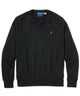 Polo Ralph Lauren Merino Wool V-Neck Sweater