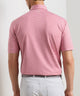 Peter Millar Dunnes Short Sleeve Performance Jersey Polo