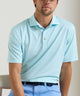 Peter Millar Dunnes Short Sleeve Performance Jersey Polo