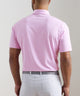 Peter Millar Dunnes Short Sleeve Performance Jersey Polo