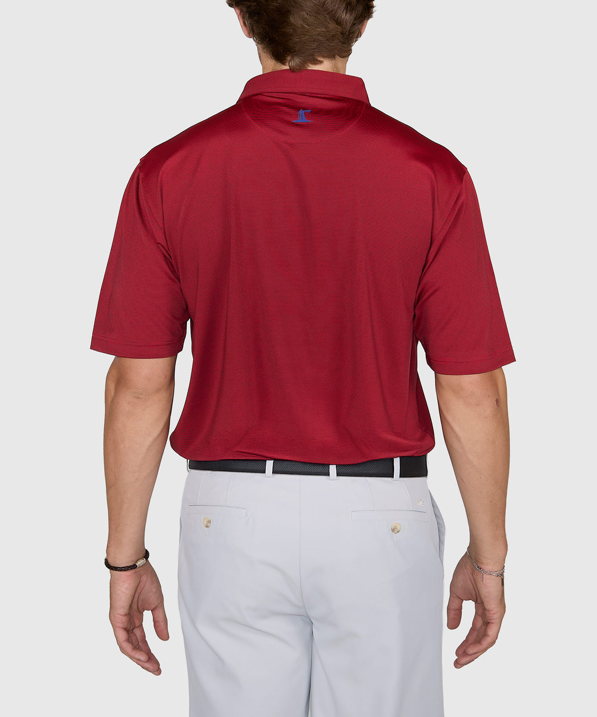 Westport Lifestyle Short Sleeve Performance Stripe Polo, Men's Big & Tall