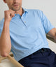 Peter Millar Hales Stripe Short Sleeve Performance Polo