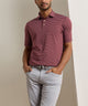 Peter Millar Oaks Stripe Polo