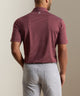 Peter Millar Oaks Stripe Polo
