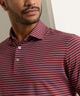 Peter Millar Oaks Stripe Polo