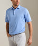 Peter Millar Oaks Stripe Polo