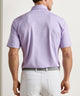 Peter Millar Oaks Stripe Polo