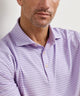 Peter Millar Oaks Stripe Polo