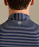 Peter Millar Oaks Stripe Polo