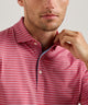 Peter Millar Oaks Stripe Polo