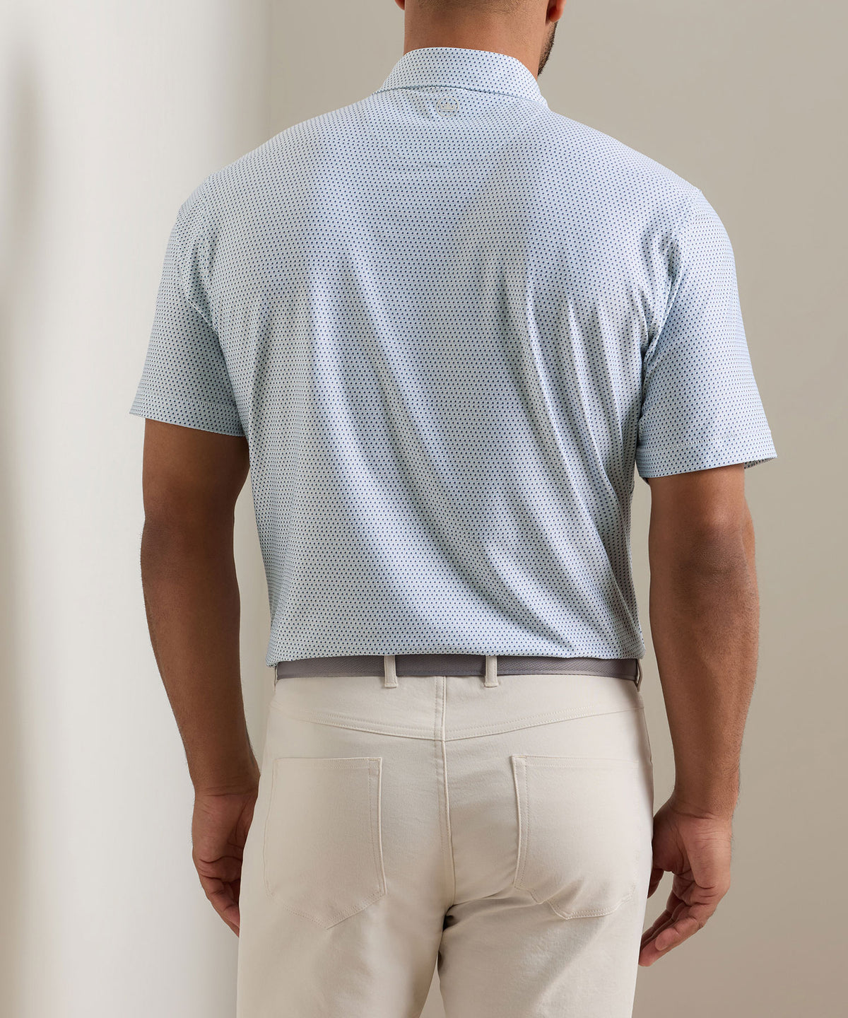 Peter Millar Hummingbird Print Polo, Men's Big & Tall