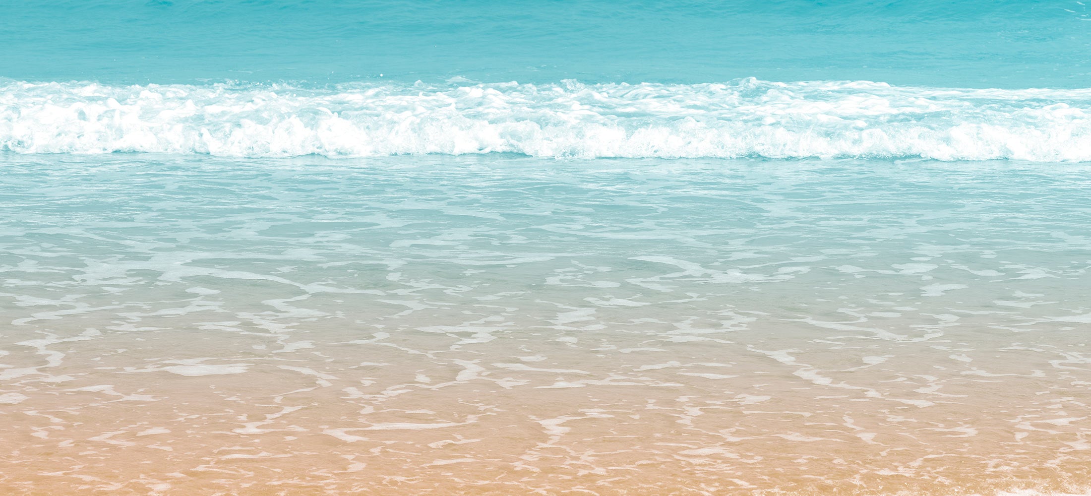 Westport Big & Tall Designer Clothes for Men