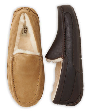 UGG Australia Ascot Slipper