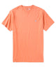 Polo Ralph Lauren Short Sleeve V-Neck Tee Shirt