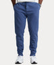 Polo Ralph Lauren Double Knit Jogger Pants