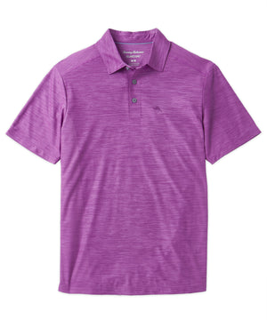 Tommy Bahama Palm Coast Polo